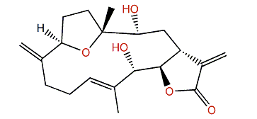 Sarcocrassocolide C